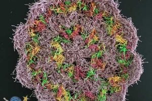 Crochet Scrubby Scrub Flower - Dearest Debi Patterns