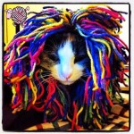 Crochet Cat Wigs - Dearest Debi Patterns